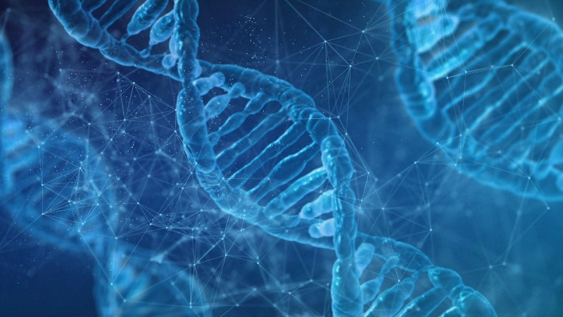 Ayak izi veya nefesten insan DNA’sı tespit edilebiliyor
ABD'deki bilim insanları, ilginç bir keşif yaparak DNA örneklerinin insanın